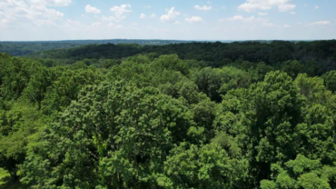 Drone view of the treetops above the canopy of the boy scout tract. Green treetops to the horizon.